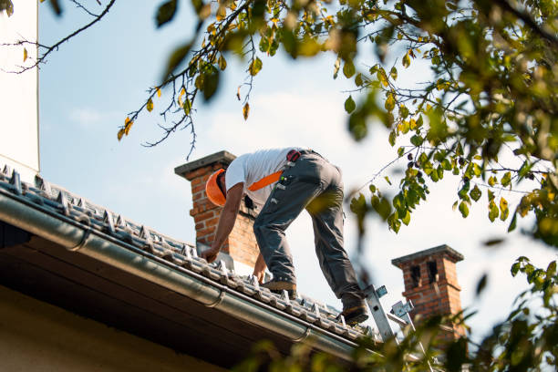 Roof Waterproofing Services in Minor, AL